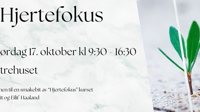 Hjertefokus 17 oktober
