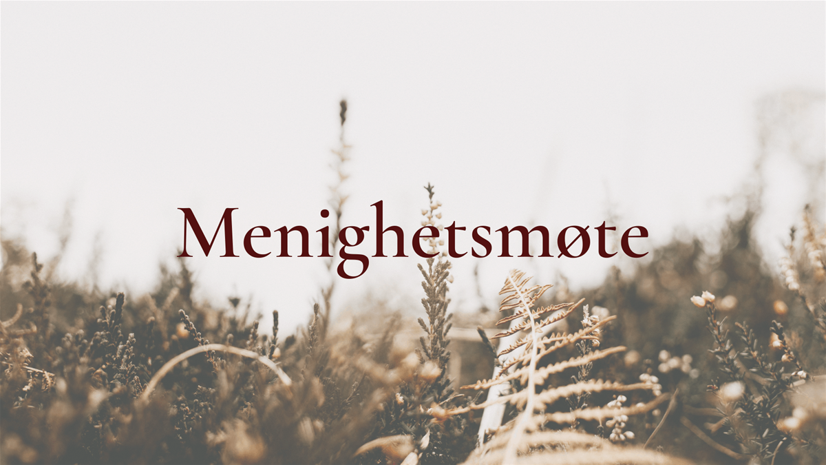 menighetsmote